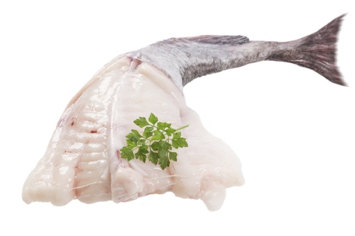 MONKFISH TAIL