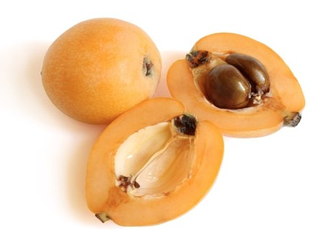 LOQUAT