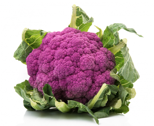 PURPLE BROCCOLI