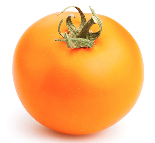 ORANGE TOMATO