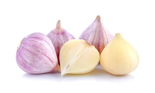 SOLO GARLIC