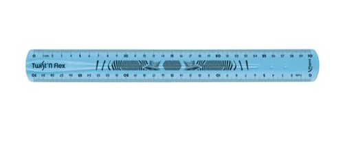 RULER 30 CM (MAPED )